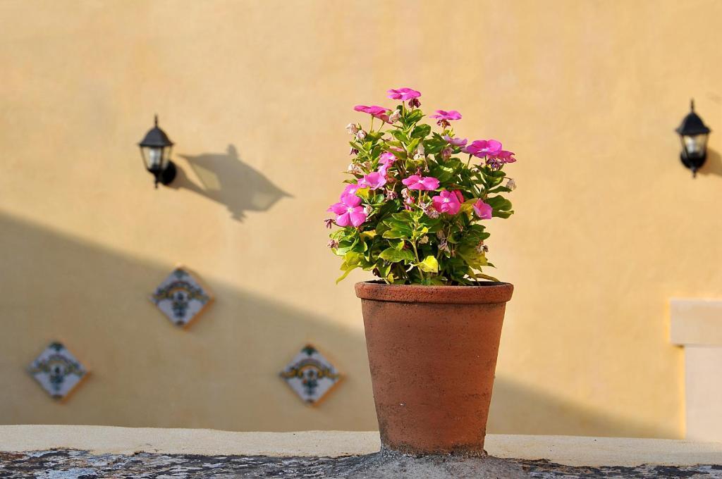 Bed and Breakfast Il Giardino Del Barocco Noto Exteriér fotografie